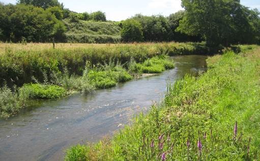 River Avon Hampshire, Wiltshire & Dorset the winner of 2017 UK River Prize and Nigel Holmes Trophy for the excellent demonstration of a whole river approach to restoration and management.